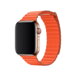 Apple Watch Series 6